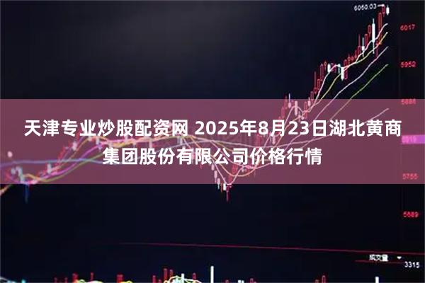 天津专业炒股配资网 2025年8月23日湖北黄商集团股份有限公司价格行情